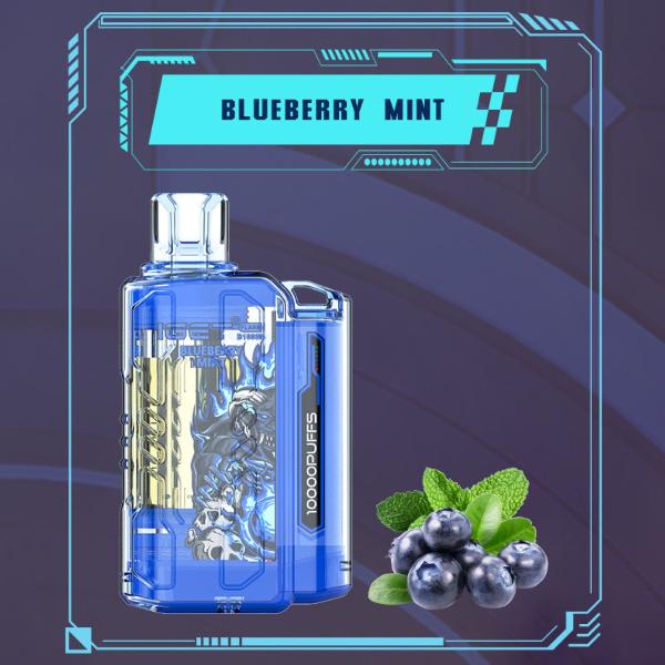 iget flare B10000 - Blueberry Mint